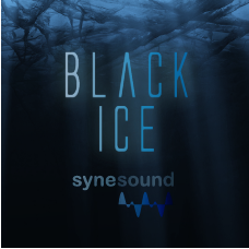 Black Ice Project