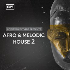 Afro & Melodic House 2