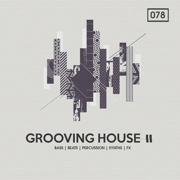Grooving House Vol. 2