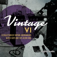 Vintage VI