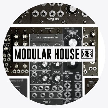 Modular House