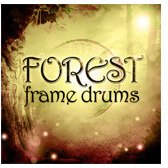 Forest Frame Drums