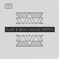 Slap & Bass House Drops