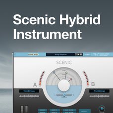 Scenic Hybrid Instrument